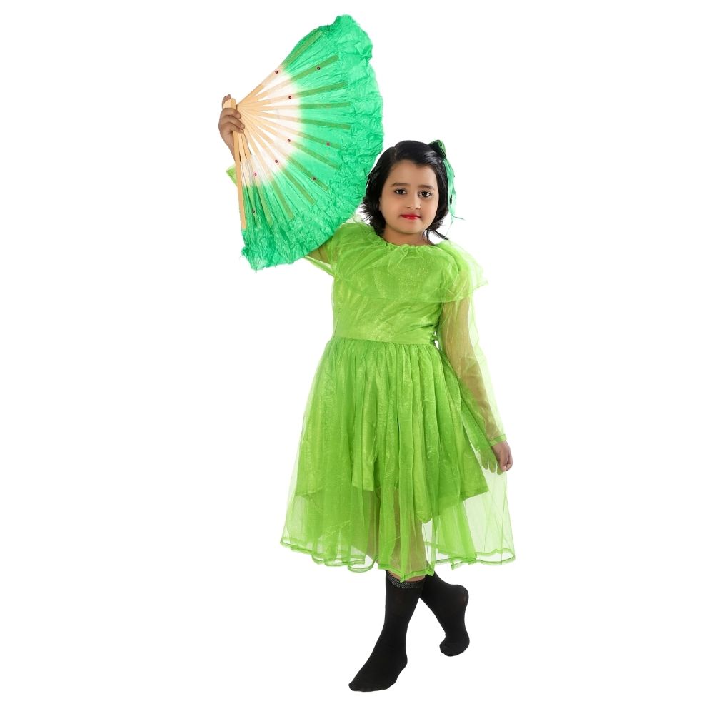 Western Dance Fancy Dress Costume