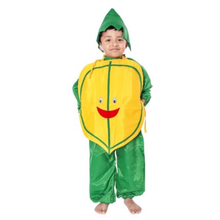 Papaya Fancy Dress Fruit Costume