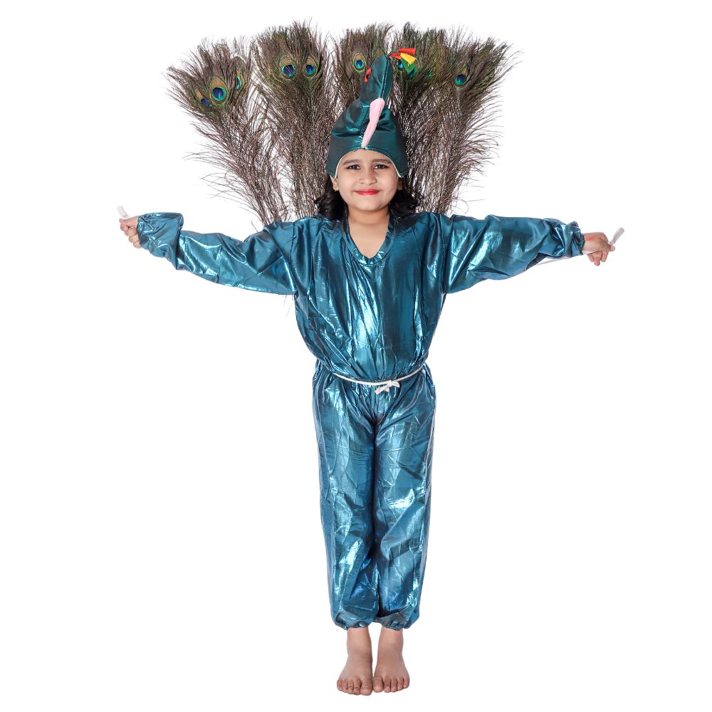 Peacock Bird Fancy Dress Costume For Kids