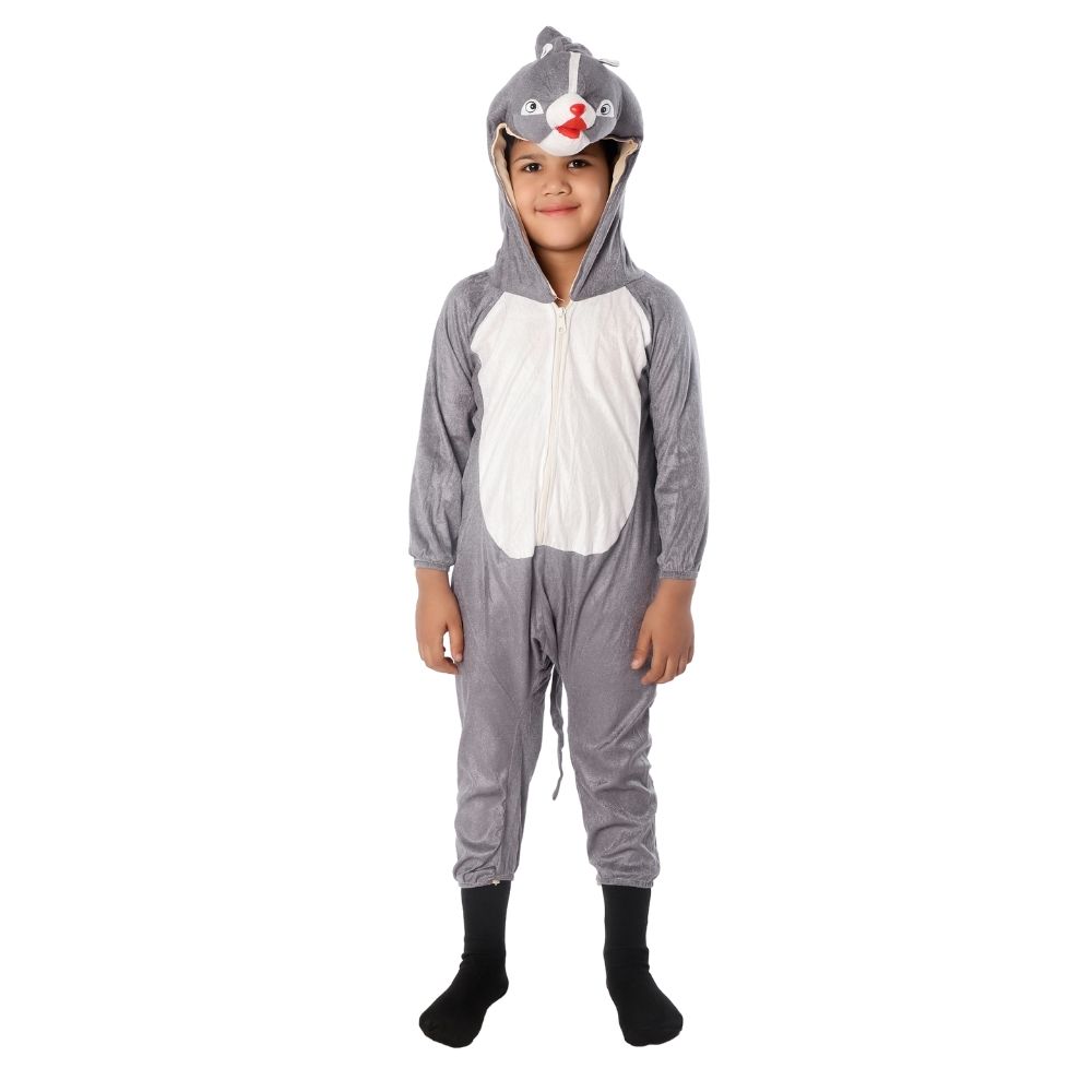 Penguin Bird Fancy Dress Costume For Kids