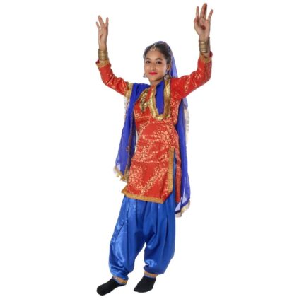 Punjabi Folk Dance Fancy Dress Costume